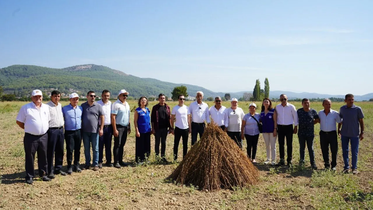 Susam tarlasında gümülün arkasında toplu fotoğraf veren katılımcılar (1. Gökova Susamı Hasat Festivali, 2025)